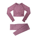 Conjunto Feminino Fitness Yoga Manga Longa Virtual Store - 2 peças